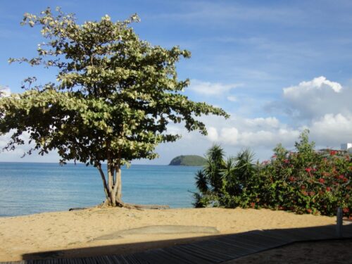 Ferien Guadeloupe 2014 - Ferien Resort