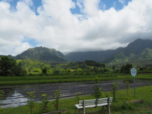 Kauai - Strände und Landschaften
