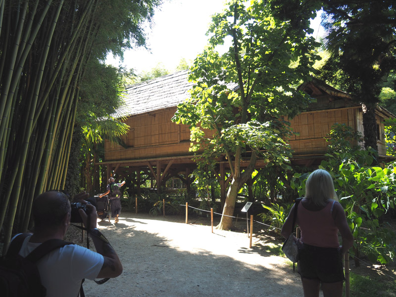 Forêt de Bambous