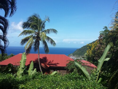 Ferien Guadeloupe 2014 - botanischer Garten