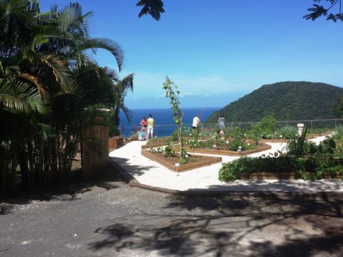 Ferien Guadeloupe 2014 - botanischer Garten