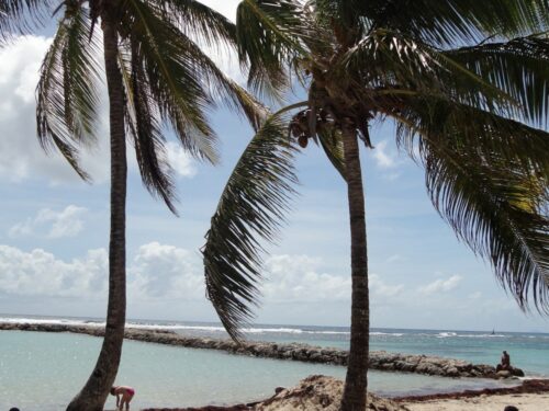 Ferien Guadeloupe 2014 - Strand in Basse Terre