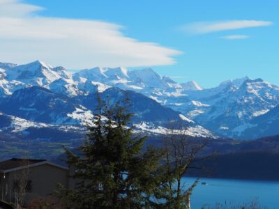 Aussicht Oberhofen - Richtung Jungfrau